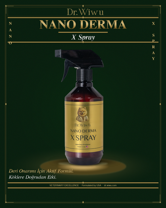 Nano Derma X Spray | Deri Onarımı İçin Aktif Formül, Köklere Doğrudan Etki