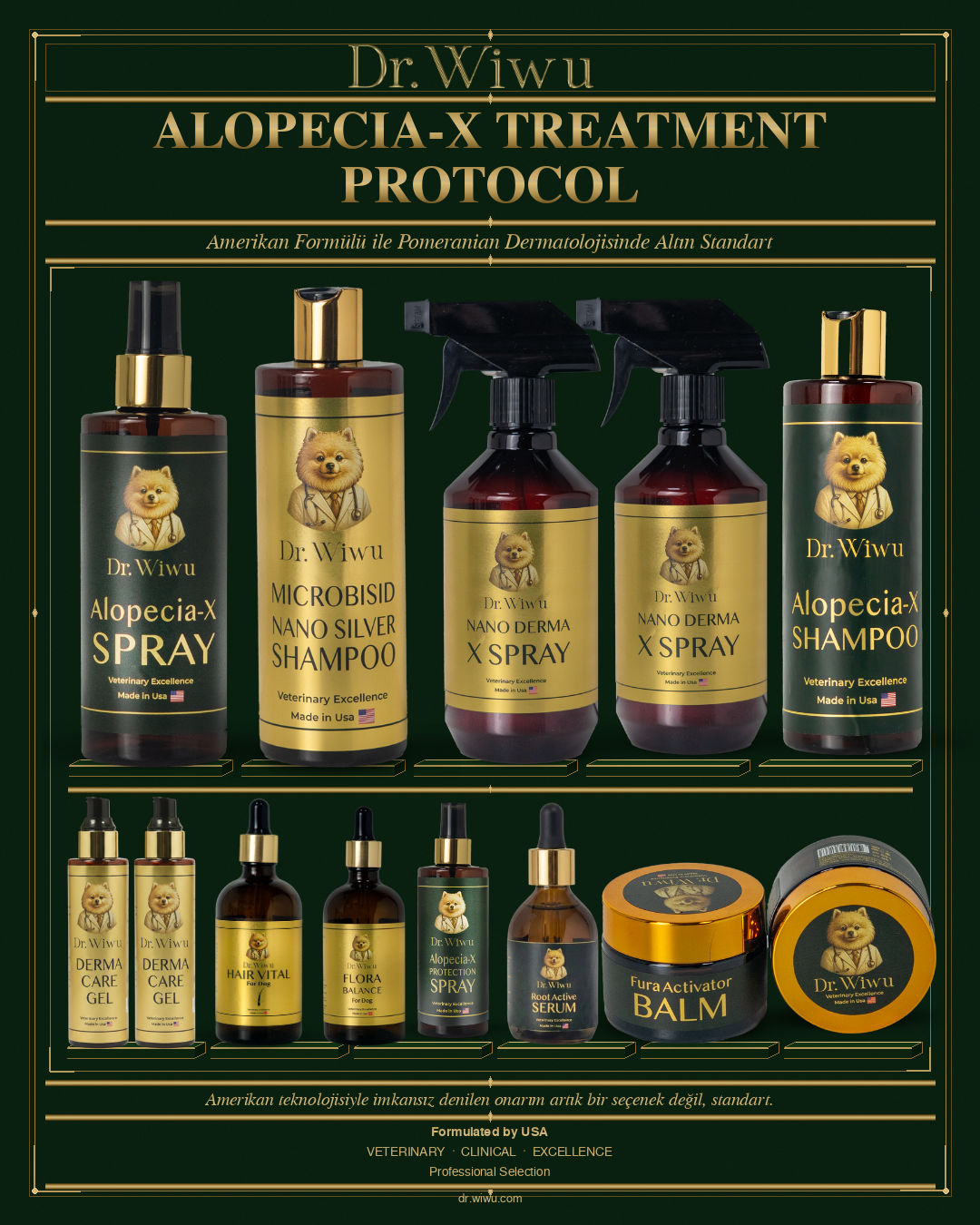 Alopecia-X Treatment Protocol | Amerikan Formülü ile Pomeranian Dermatolojisinde Altın Standart