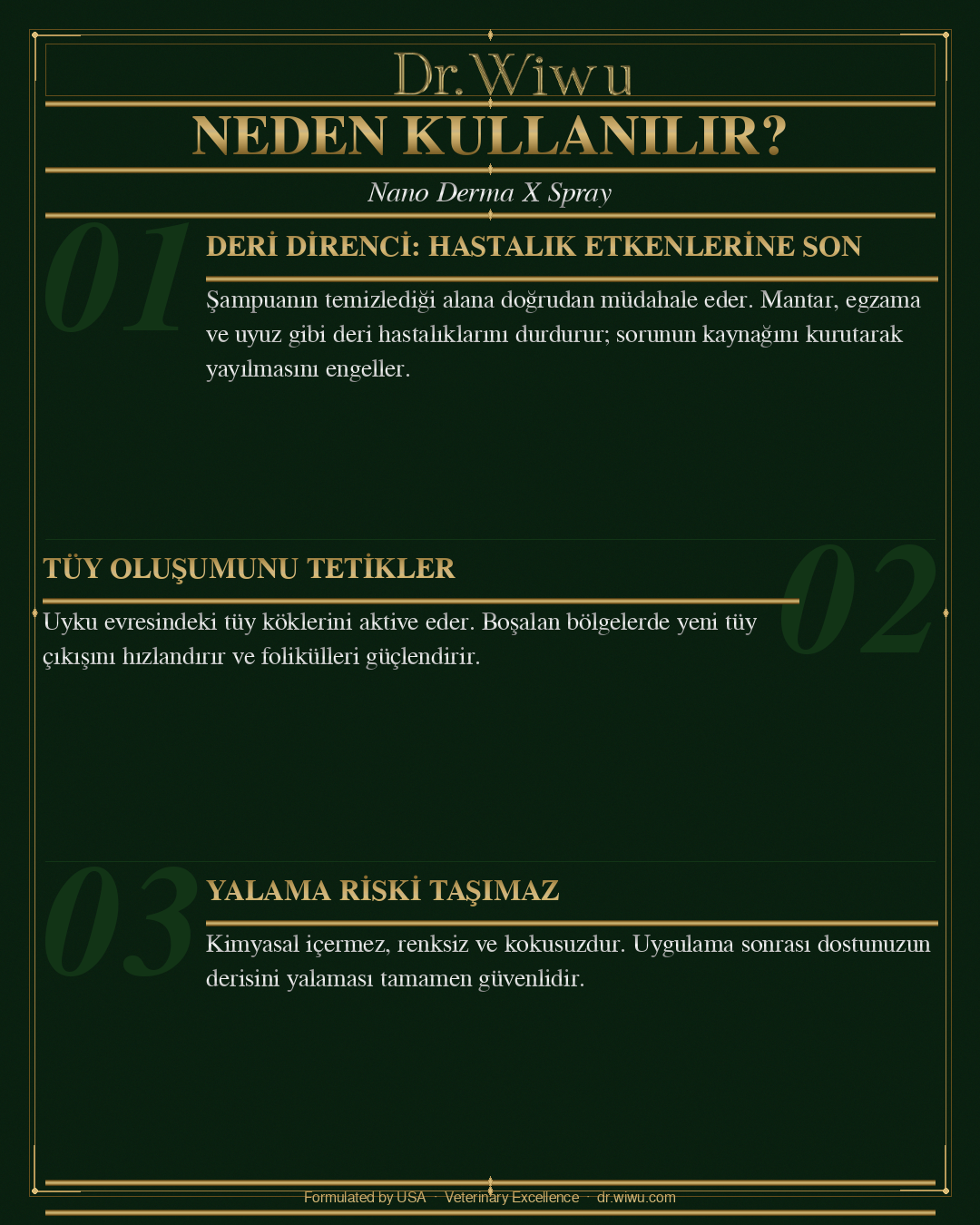 Nano Derma X Spray