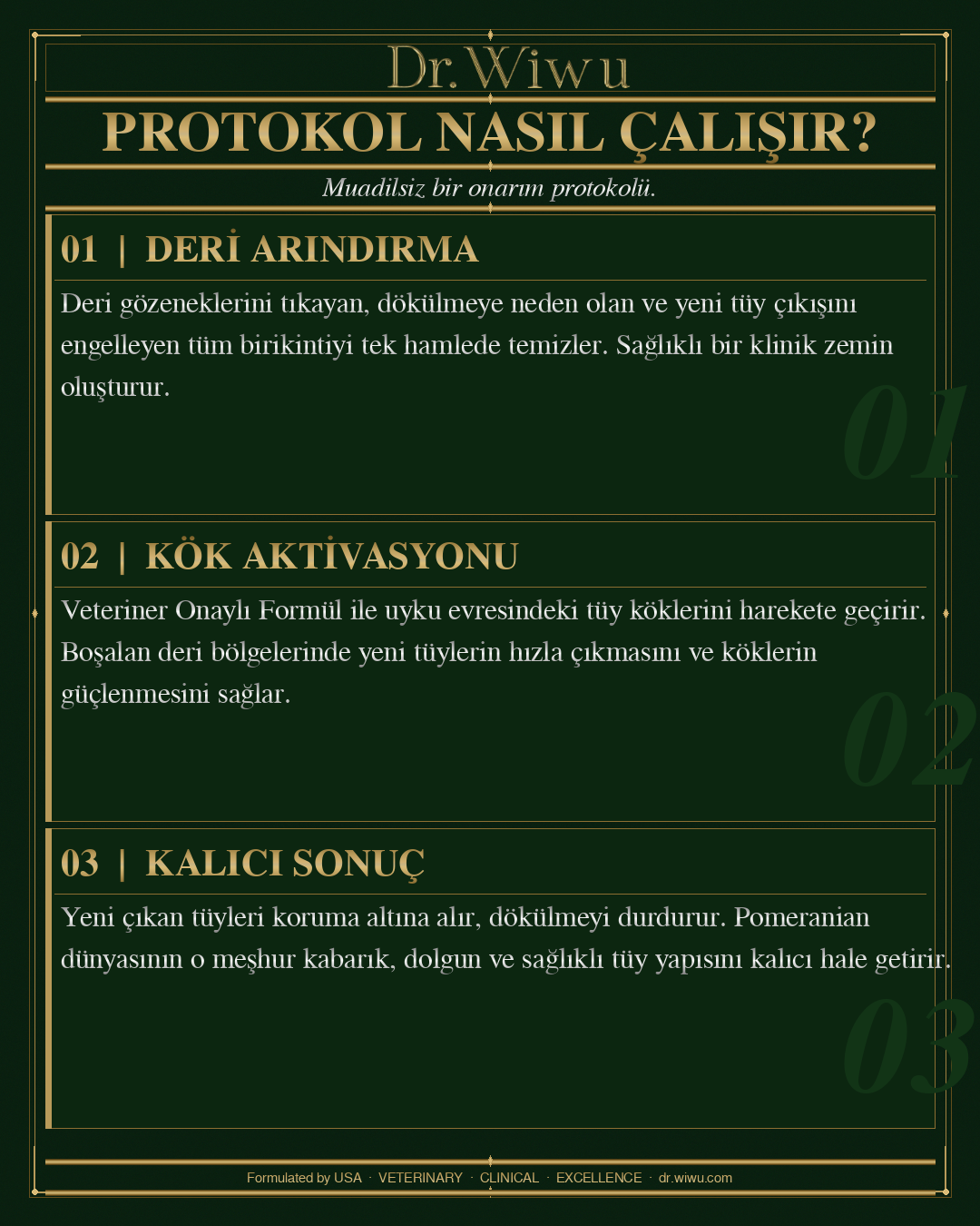 Alopecia-X Treatment Protocol | Amerikan Formülü ile Pomeranian Dermatolojisinde Altın Standart